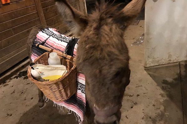 David testing out baskets so that he can deliver beer to guests at a wedding
