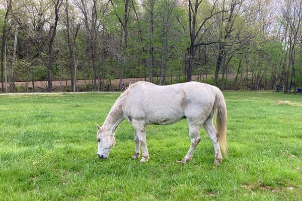 Greyson loves his turnout time