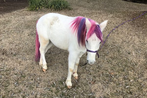 Rocking the pink and purple look today