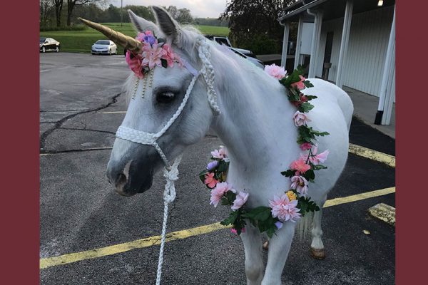 Prince got to dress up to greet prom attendees :-)