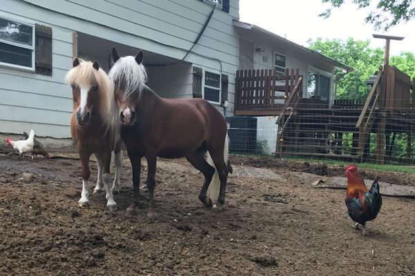 Ginger and Cooper spend a lot of time together