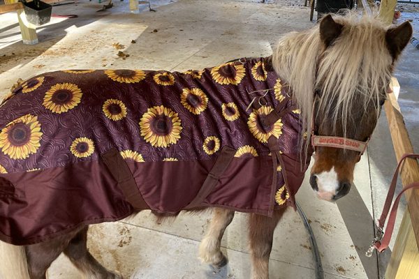 New Blanket!